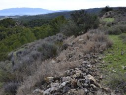 Yacimiento de la Almoloya 2007